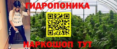 альфа пвп Аргун