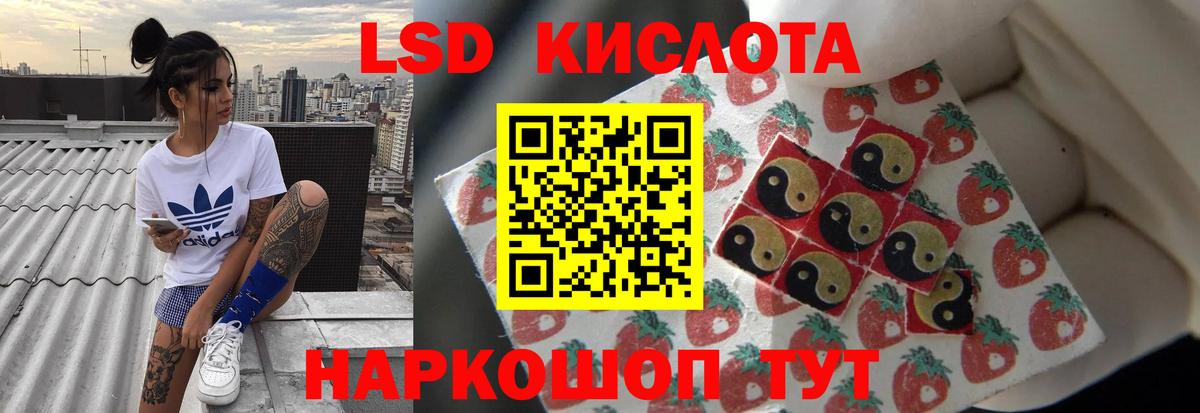 Лсд 25 экстази  Бердск  Лсд 25 экстази ecstasy 
