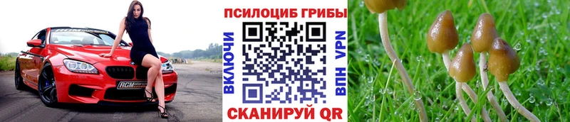 Галлюциногенные грибы Magic Shrooms  Бердск 