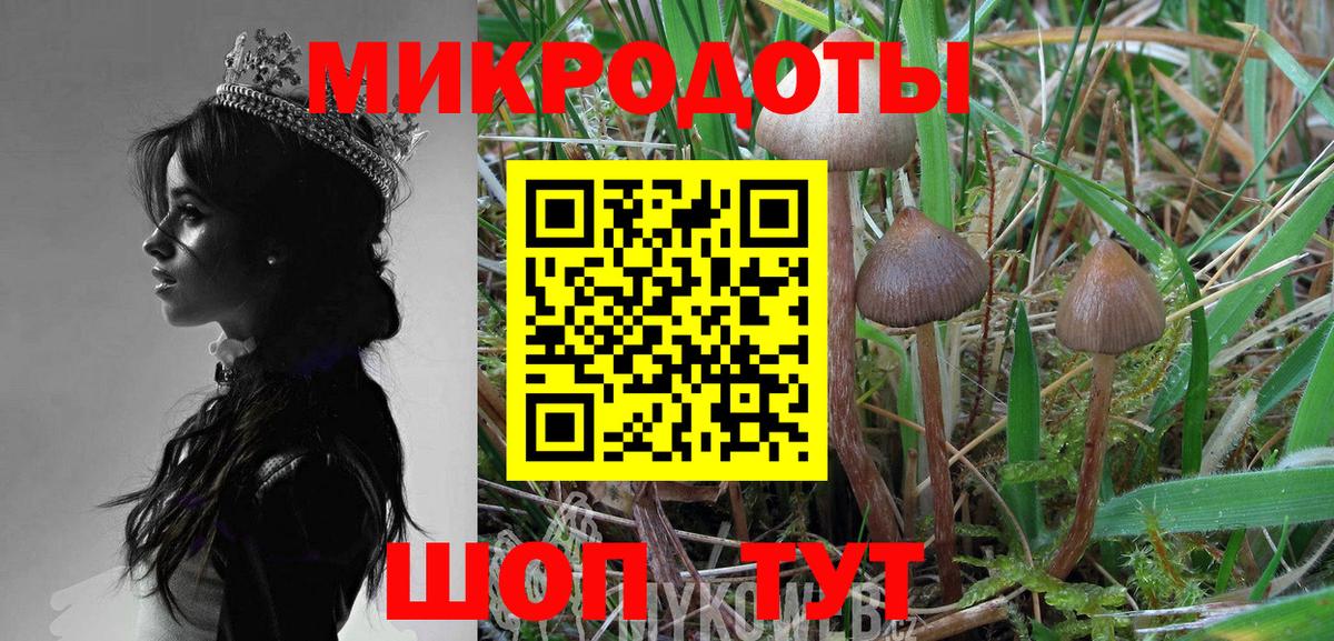Галлюциногенные грибы GOLDEN TEACHER Бердск